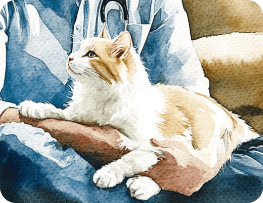 Cat resting on a lap