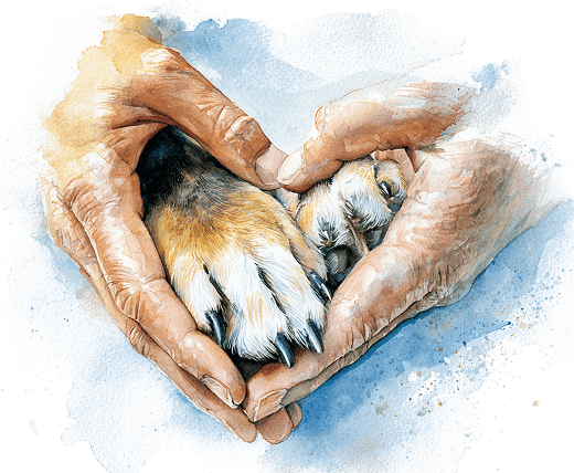 Watercolor illustration of hands forming a heart around two dog paws