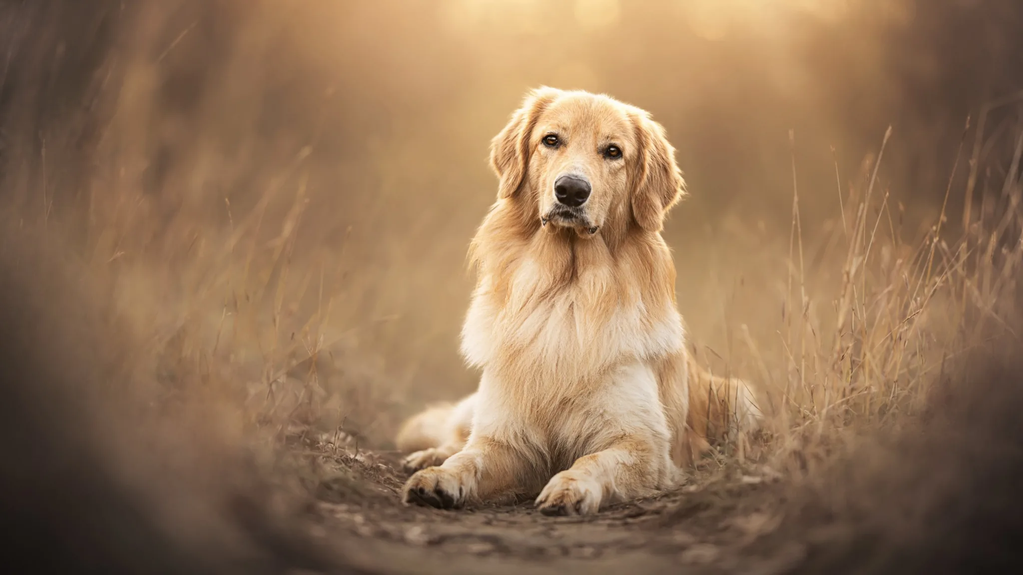 Memorial photo of duke