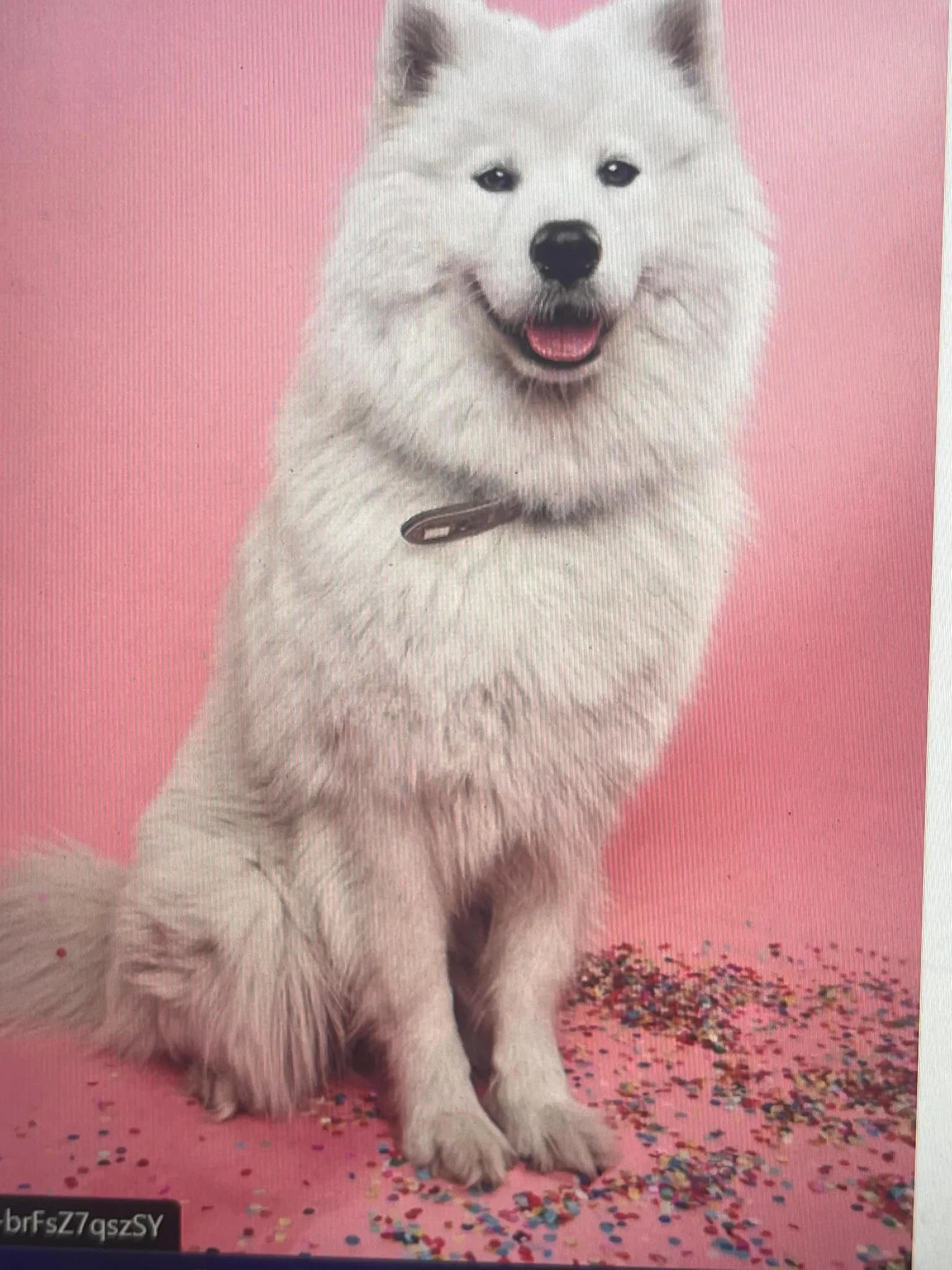 Memorial photo of Berry